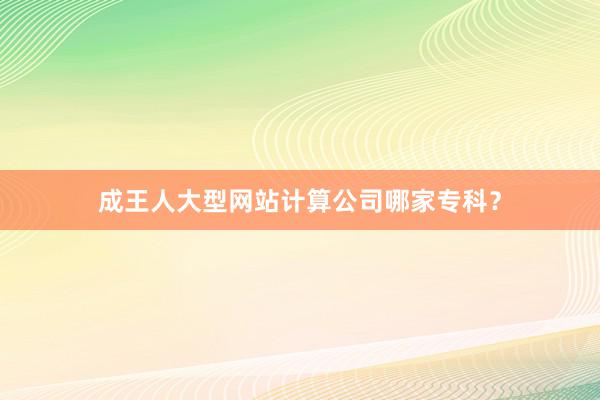 成王人大型网站计算公司哪家专科？