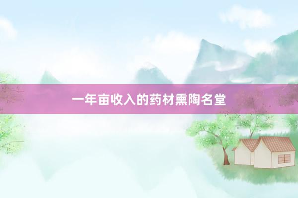 一年亩收入的药材熏陶名堂