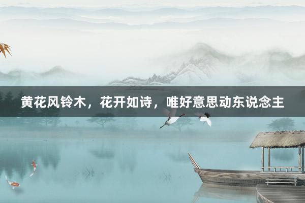 黄花风铃木，花开如诗，唯好意思动东说念主